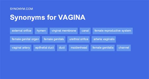 Vagina synonyms, vagina antonyms